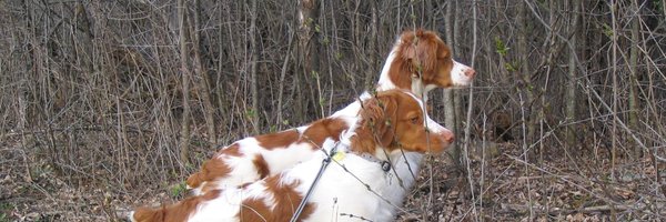 InnovaMap Profile Banner