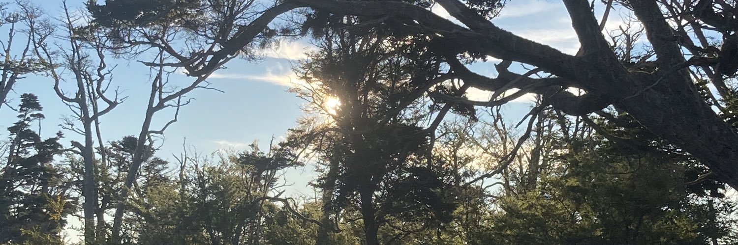 Andreesro's profile banner image