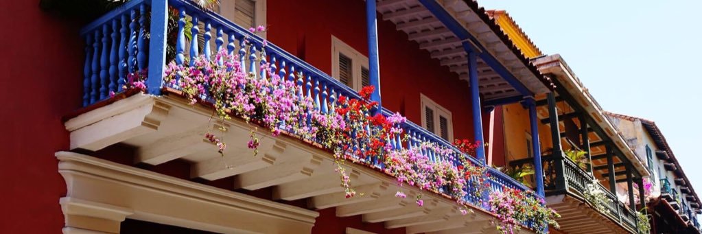 MsGiovyTorres's profile banner image