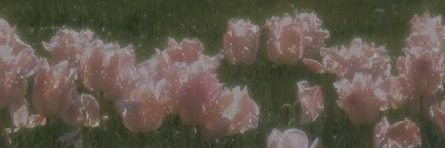 ericaashayne's profile banner image