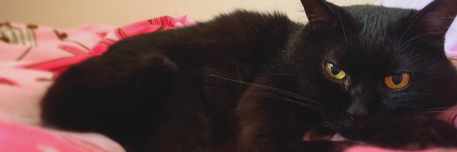 k banner
