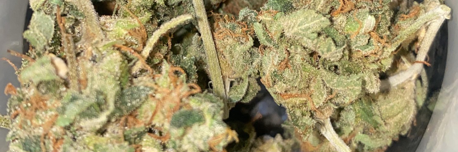 Gabs 🧙‍♀️ banner