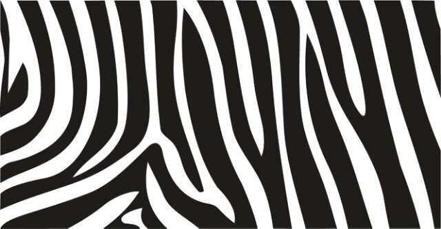 Royyanerin's profile banner image