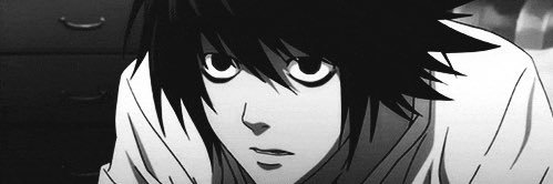 nina banner