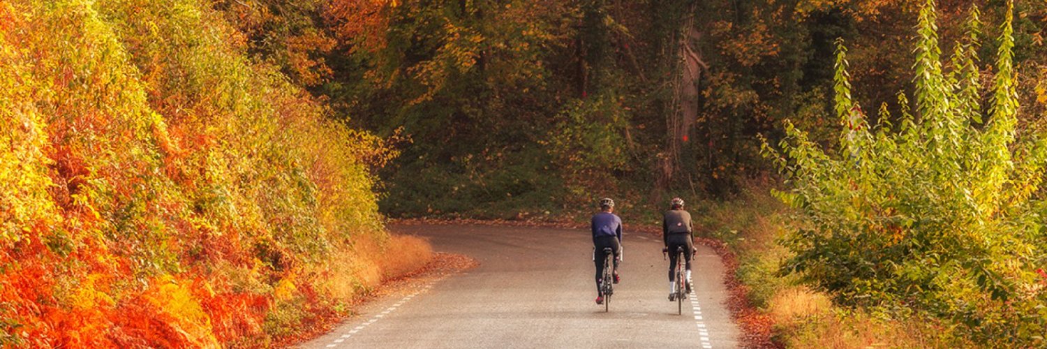 Visit Netherlands banner