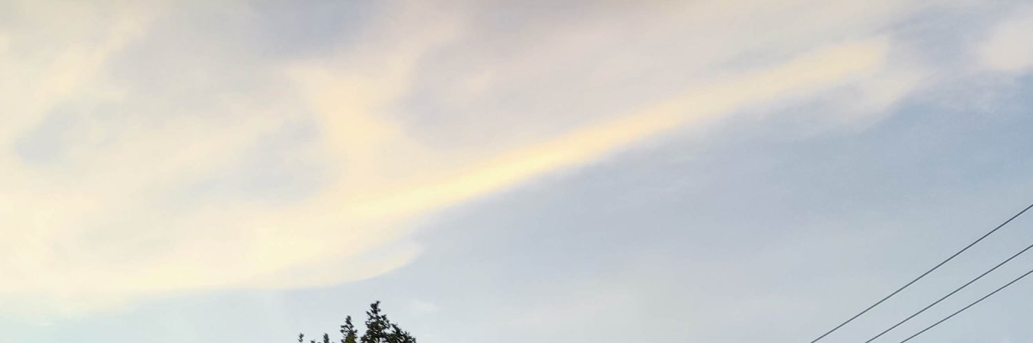 zfor721's profile banner image