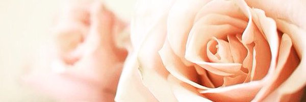 Iconic87 Profile Banner