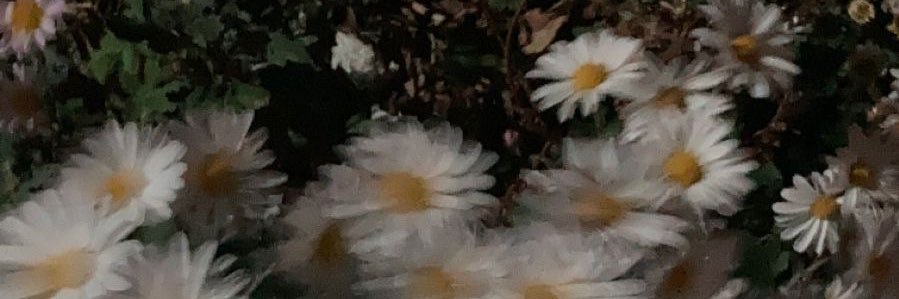 타다닥 banner