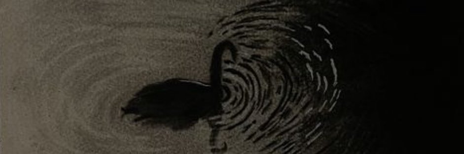 3vvnui's profile banner image