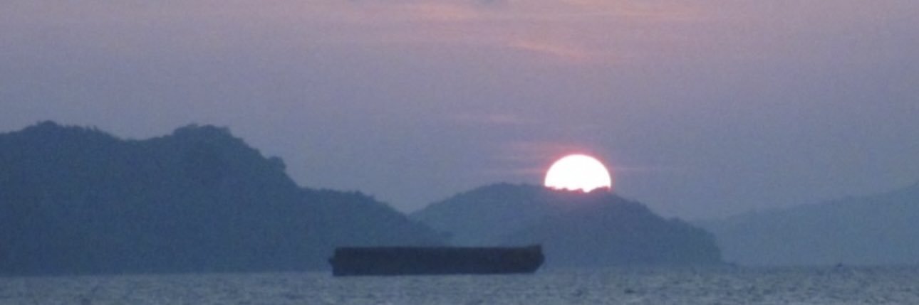 Elyra ₿ ANGEL banner