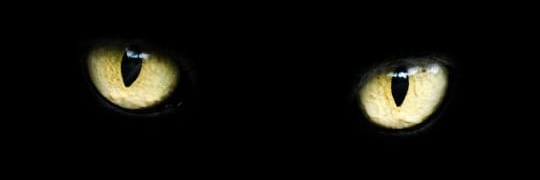 zareth banner