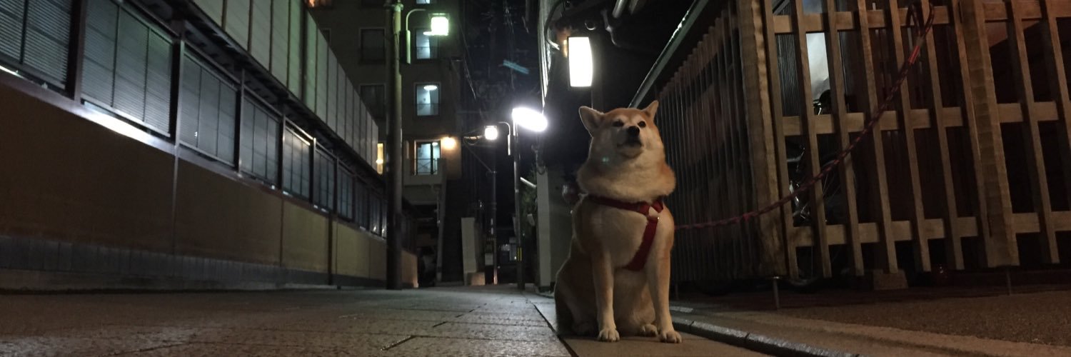 trailteamoomoto's profile banner image