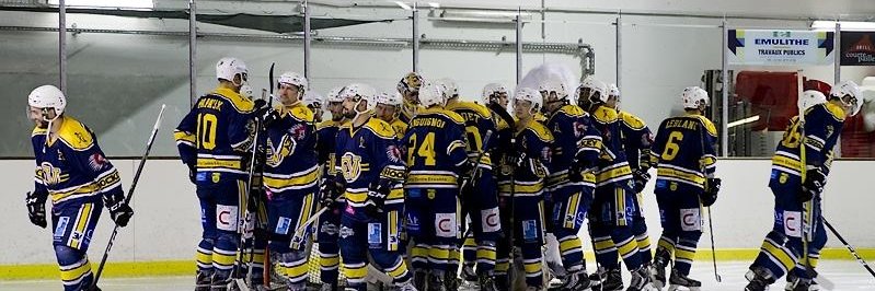 Evry Viry Hockey 91 banner