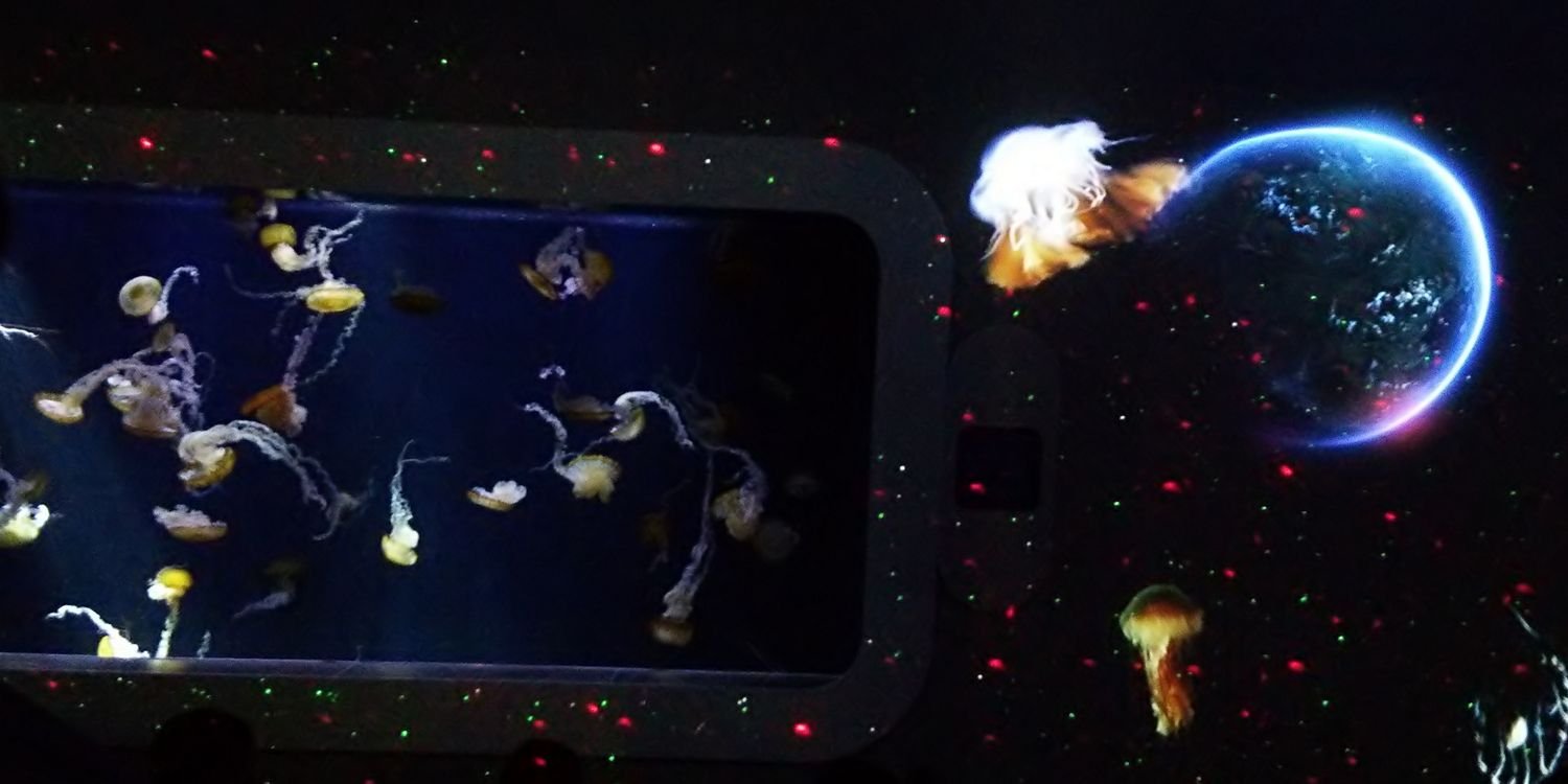 kimattan's profile banner image