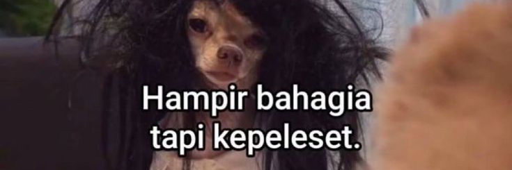 wins banner
