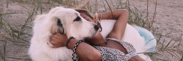 Dogknottin755's profile banner image