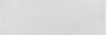 ネク banner