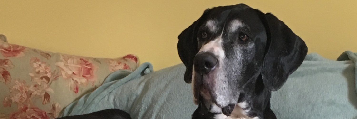 mdreyerm's profile banner image