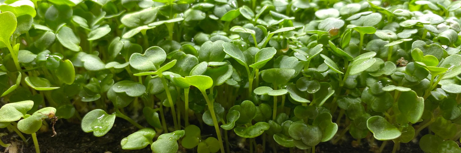 Grow_Kits's profile banner image