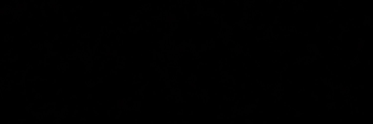 illusionvulp's profile banner image