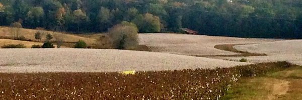 North Carolina Cotton Producers Association Profile Banner