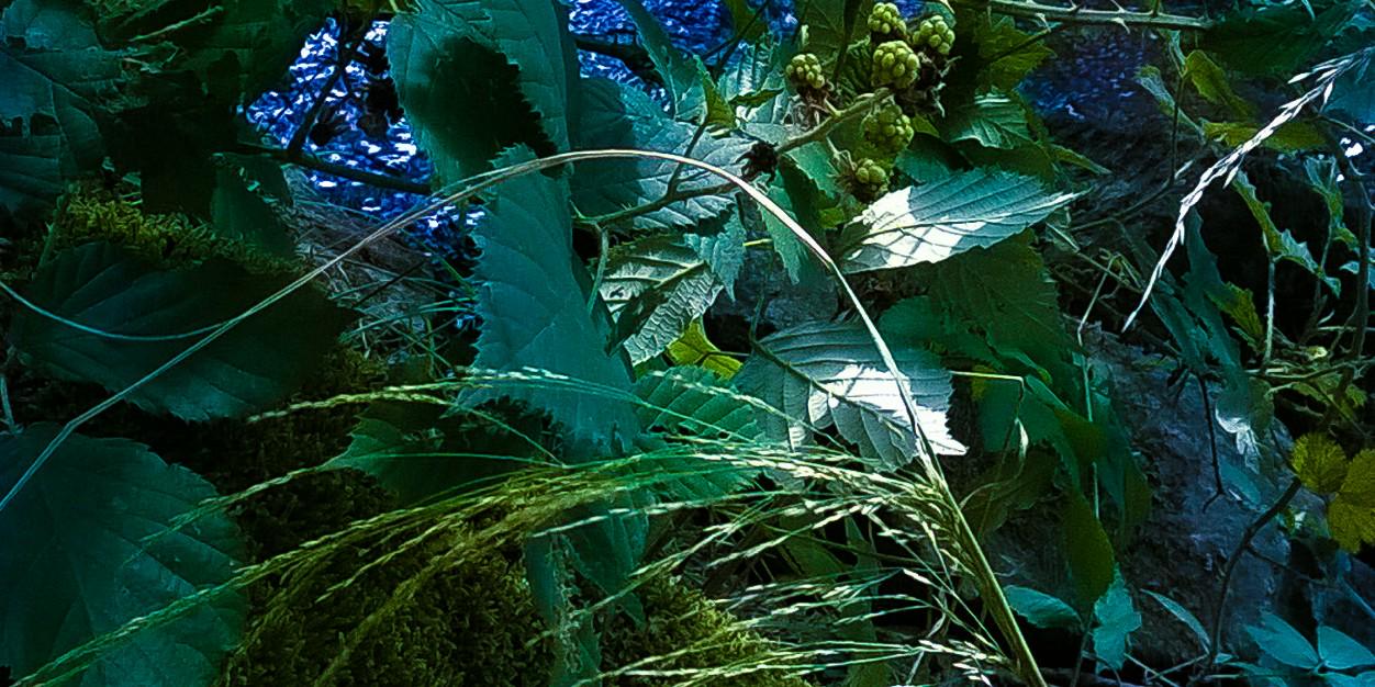 nuageflottant's profile banner image