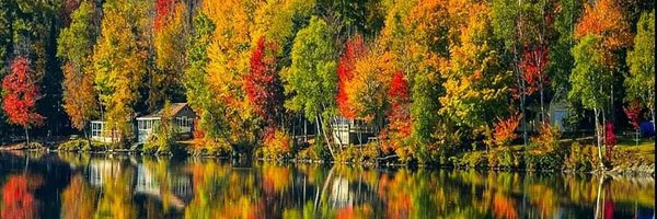 NearLarch Profile Banner