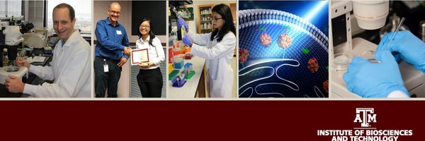 TAMU_IBT Profile Banner