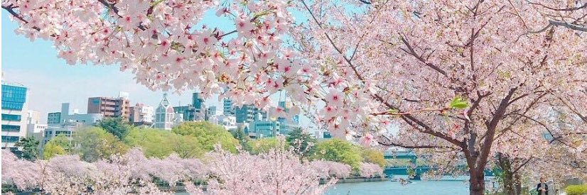 EllieLi艾栗栗_EllieAiLiLi banner