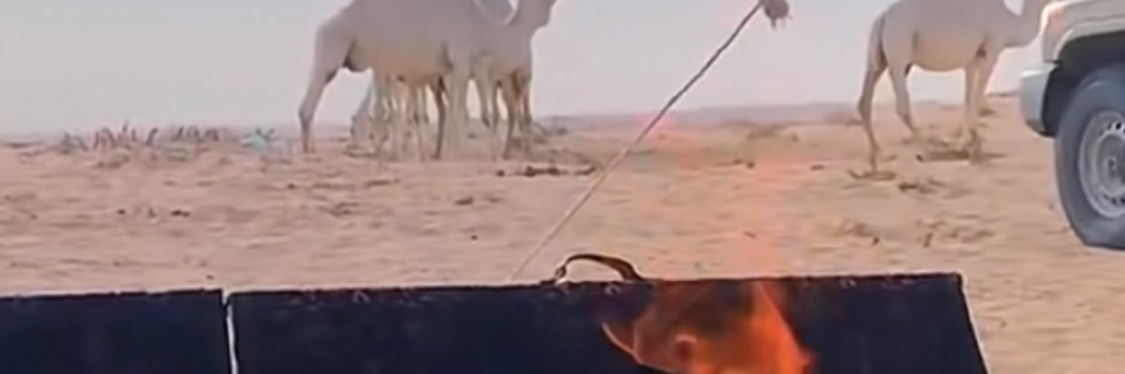 عَآبٌر …سَبيِل. !!.. banner