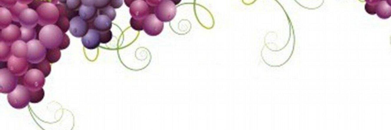 LaCopaDeBaco's profile banner image