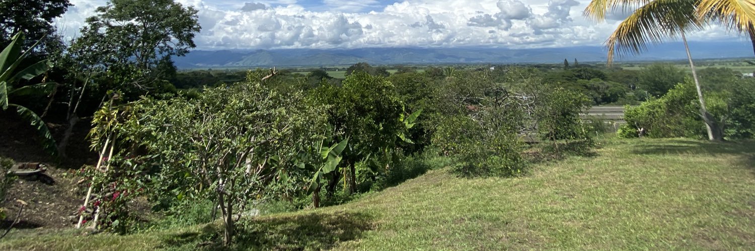 Dcgonzalez91's profile banner image