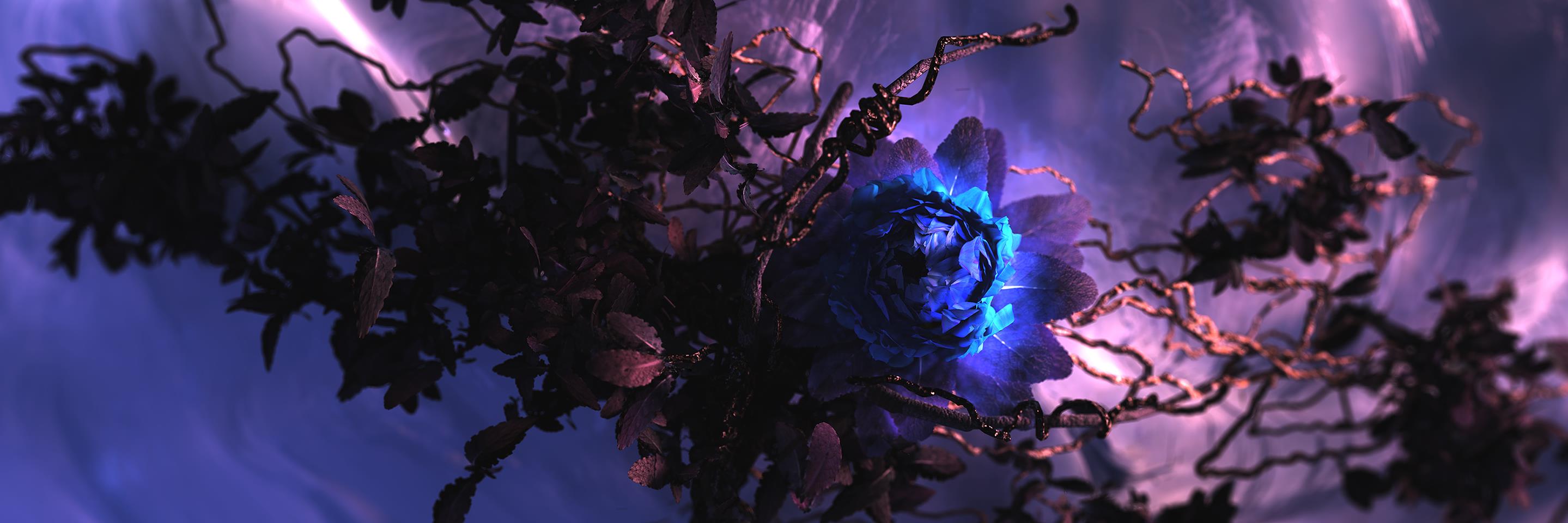 TheSuperShoe's profile banner image