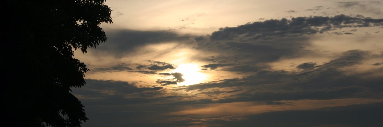 GustavusLiew's profile banner image