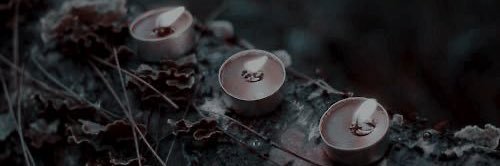 RAVEN ✯ LOCKS banner