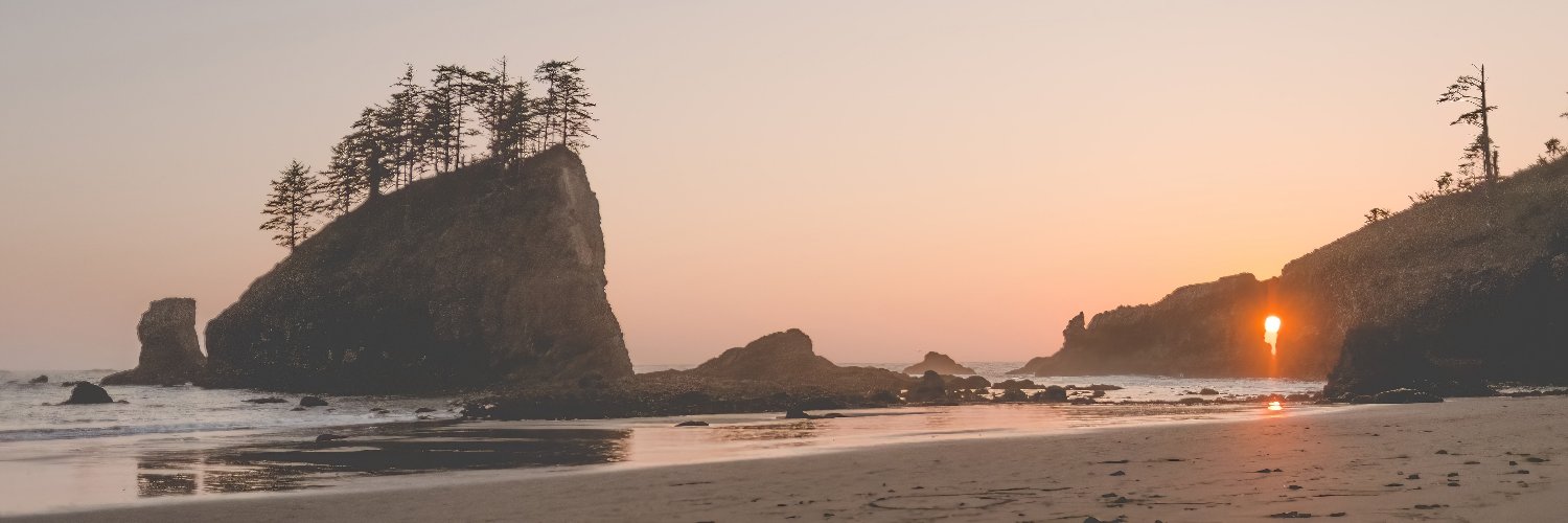 AelaWild's profile banner image