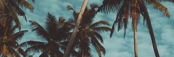 ayusipa's profile banner image