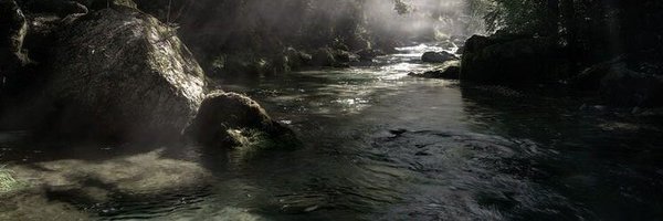 scrlttmeadows Profile Banner