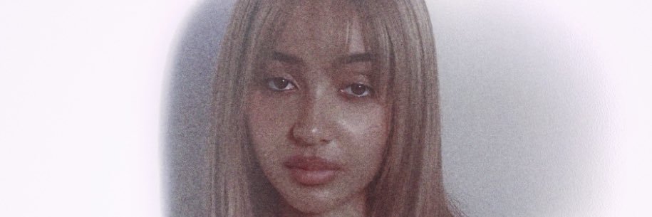 ༺𓆩 pinkpantheressluvr2 𓆪༻ banner