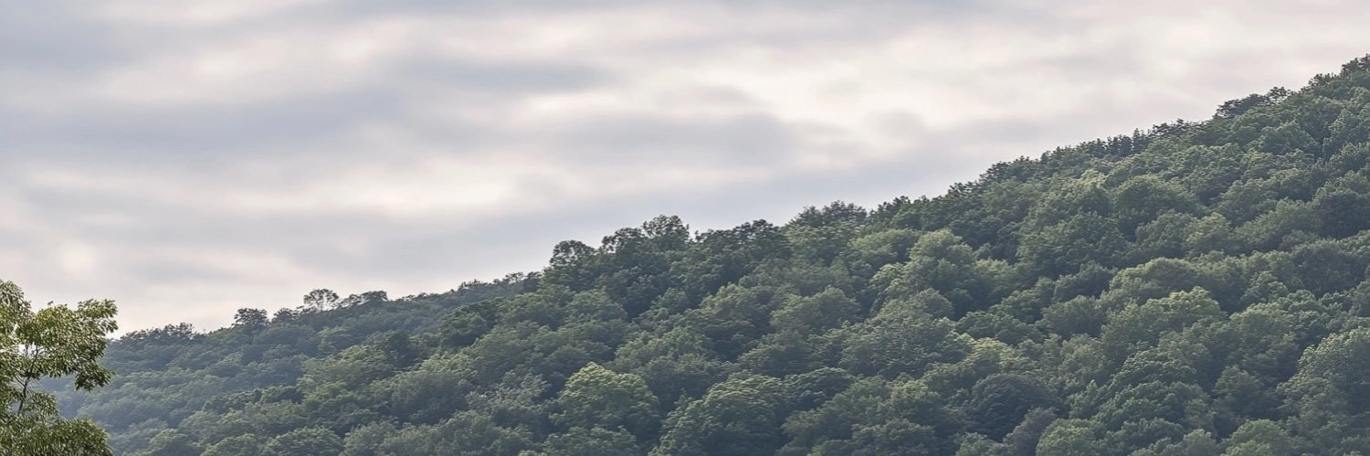 . banner