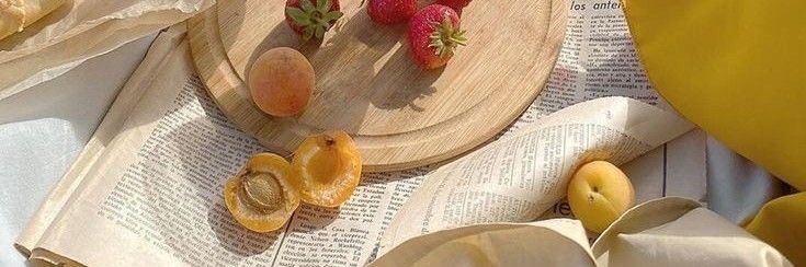 🦁🐯𝘾𝙞𝙣.˚⊹ ࿔🦋(rest) banner