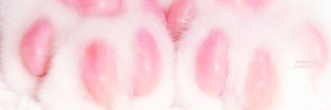 ˓ 𝑳❤︎ banner