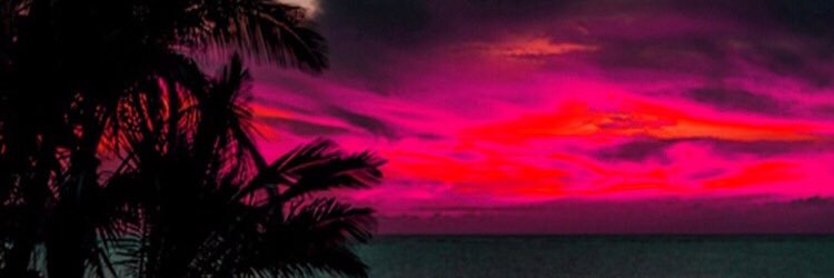 madisyn523's profile banner image