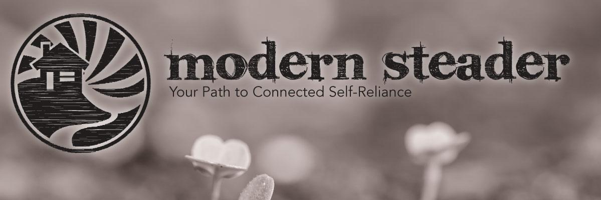 ModernSteader's profile banner image