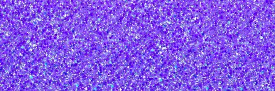 Sofía banner