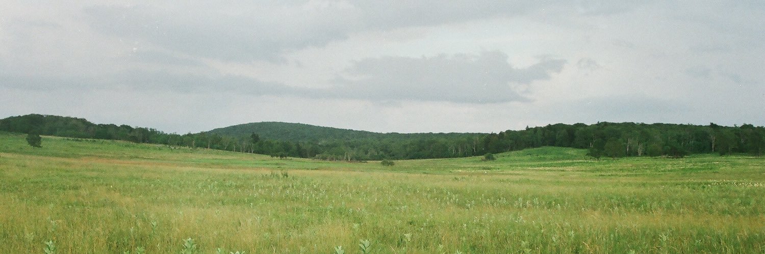 james 🎣 banner