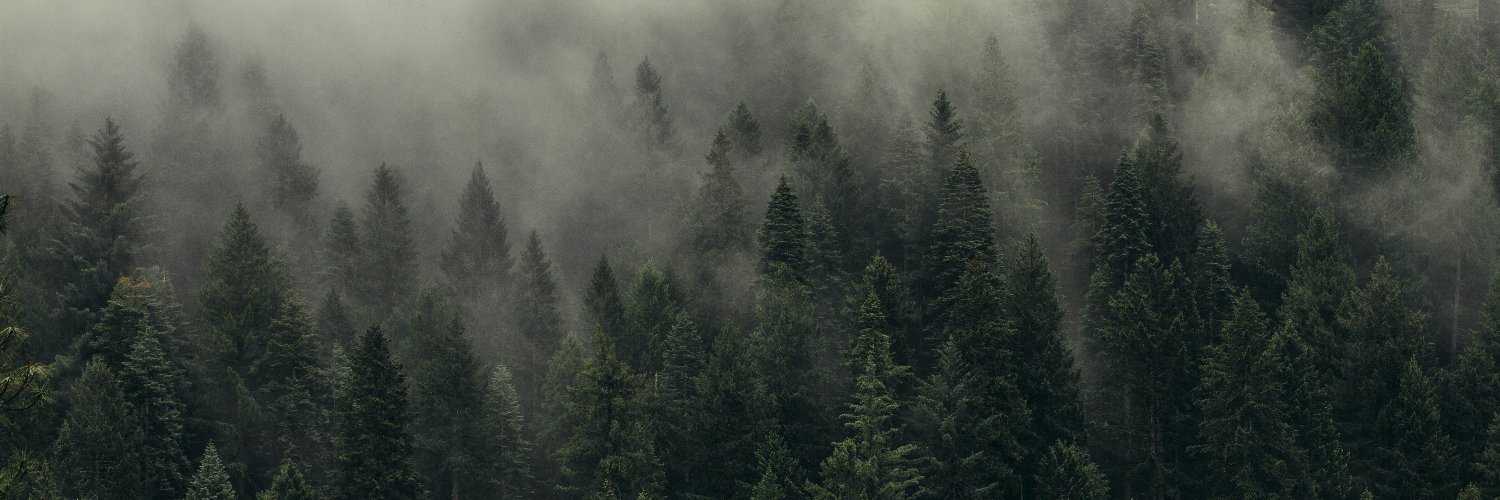 joniler's profile banner image