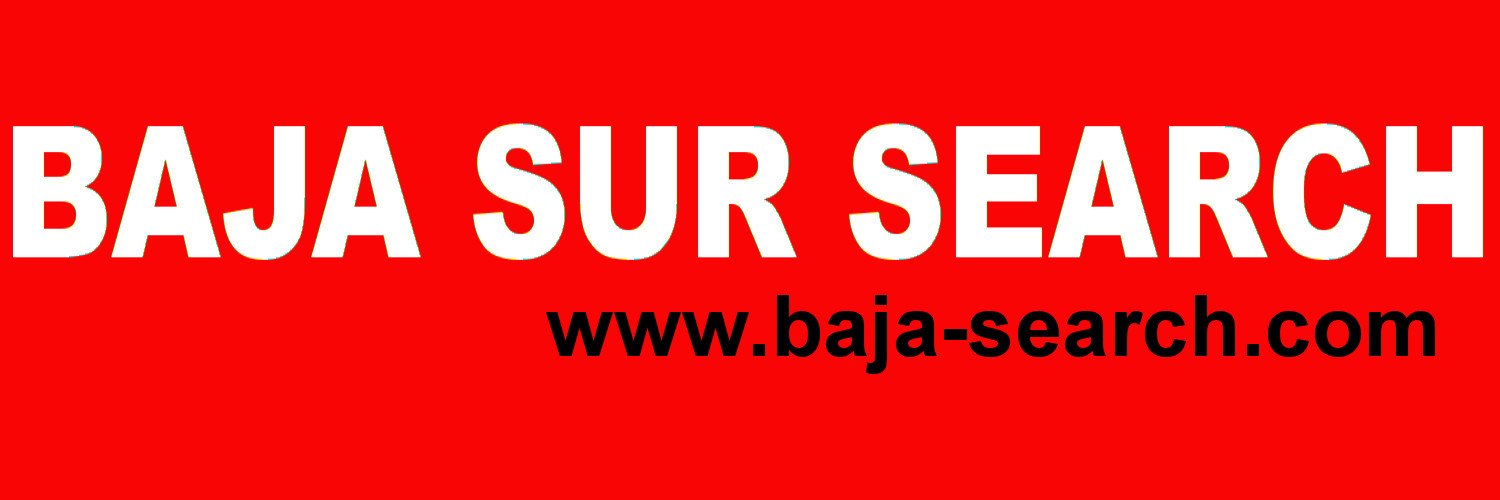 BCS Search Engine banner