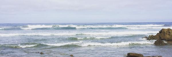 meeeotch Profile Banner