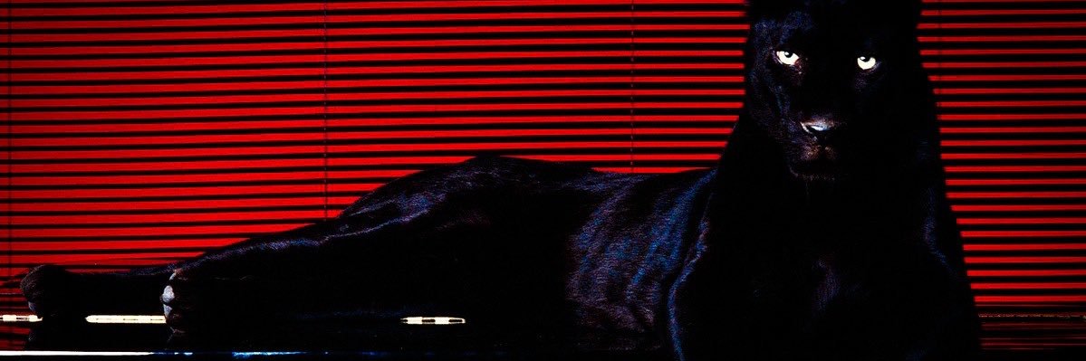 MElsyelJ's profile banner image